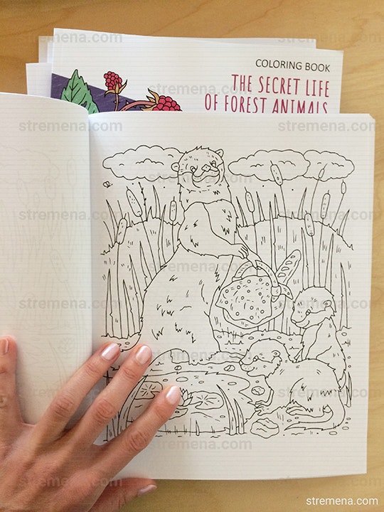 The Secret Life of Forest Animals gallery image