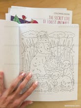 The Secret Life of Forest Animals gallery image