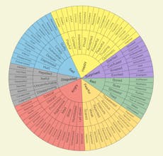 Emotion Wheel gallery image