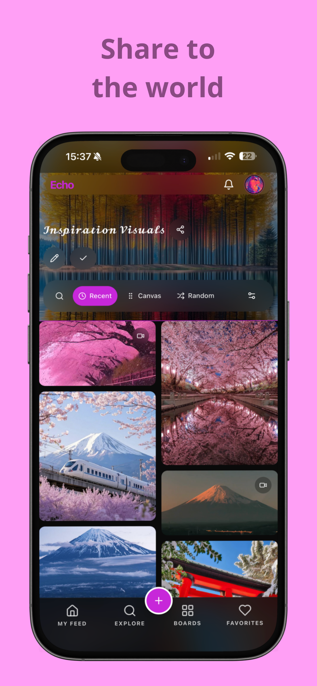 Echo — Private Pinterest Alternative gallery image