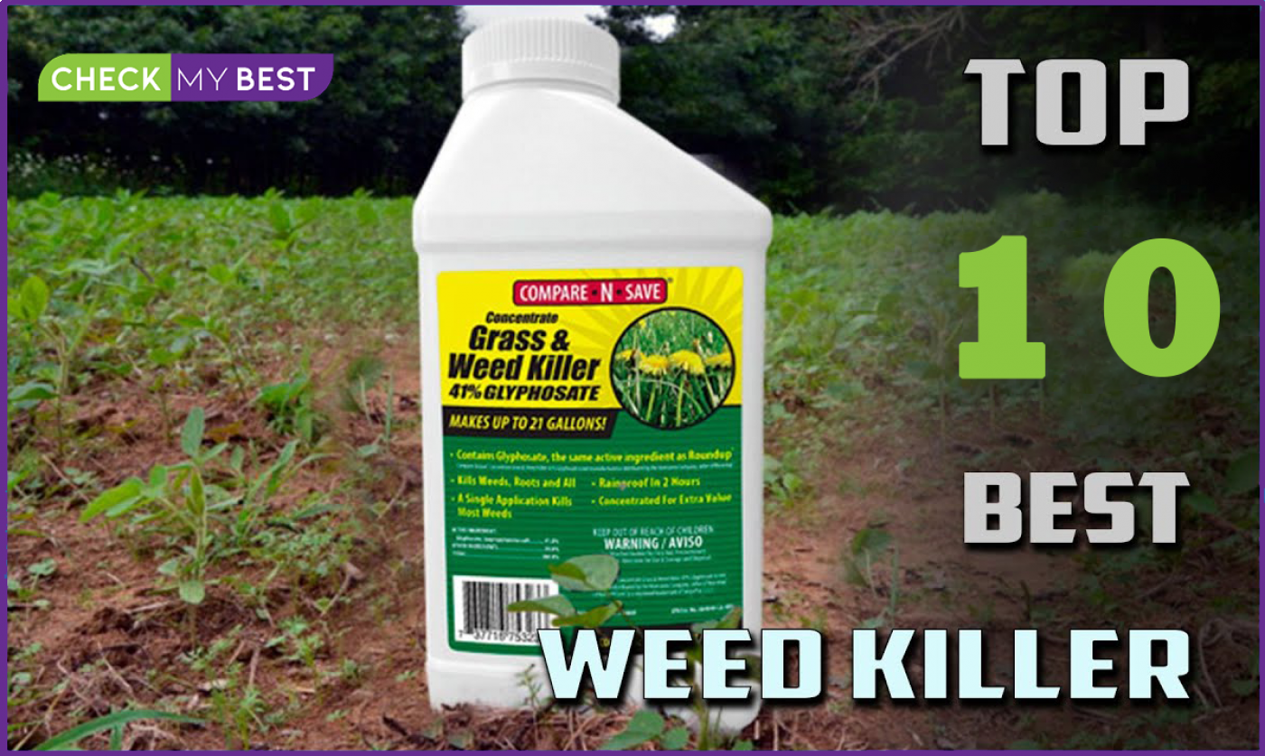 Best Weed Killers for Lawns