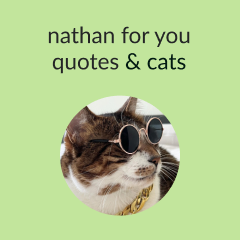 Nathan for You Quotes and Cats