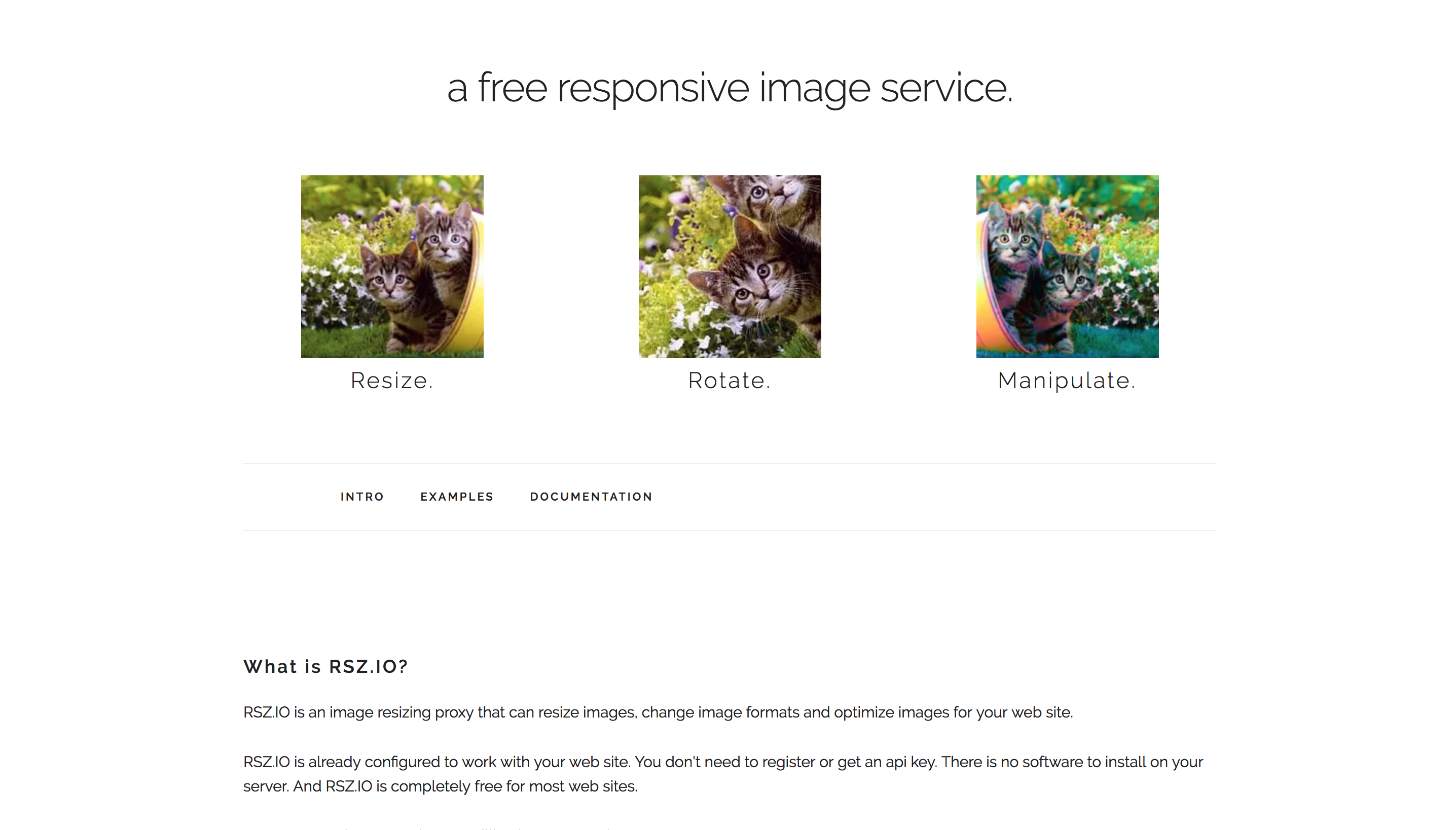 RSZ.IO gallery image