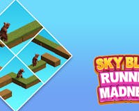 Skyblock Runner Madness media 3