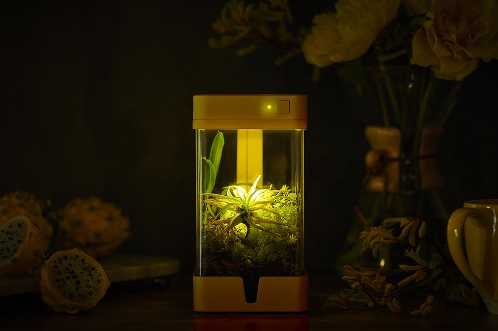OrchidBox Smart Mini Terrarium 🌱 gallery image