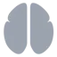 BrainBank.world