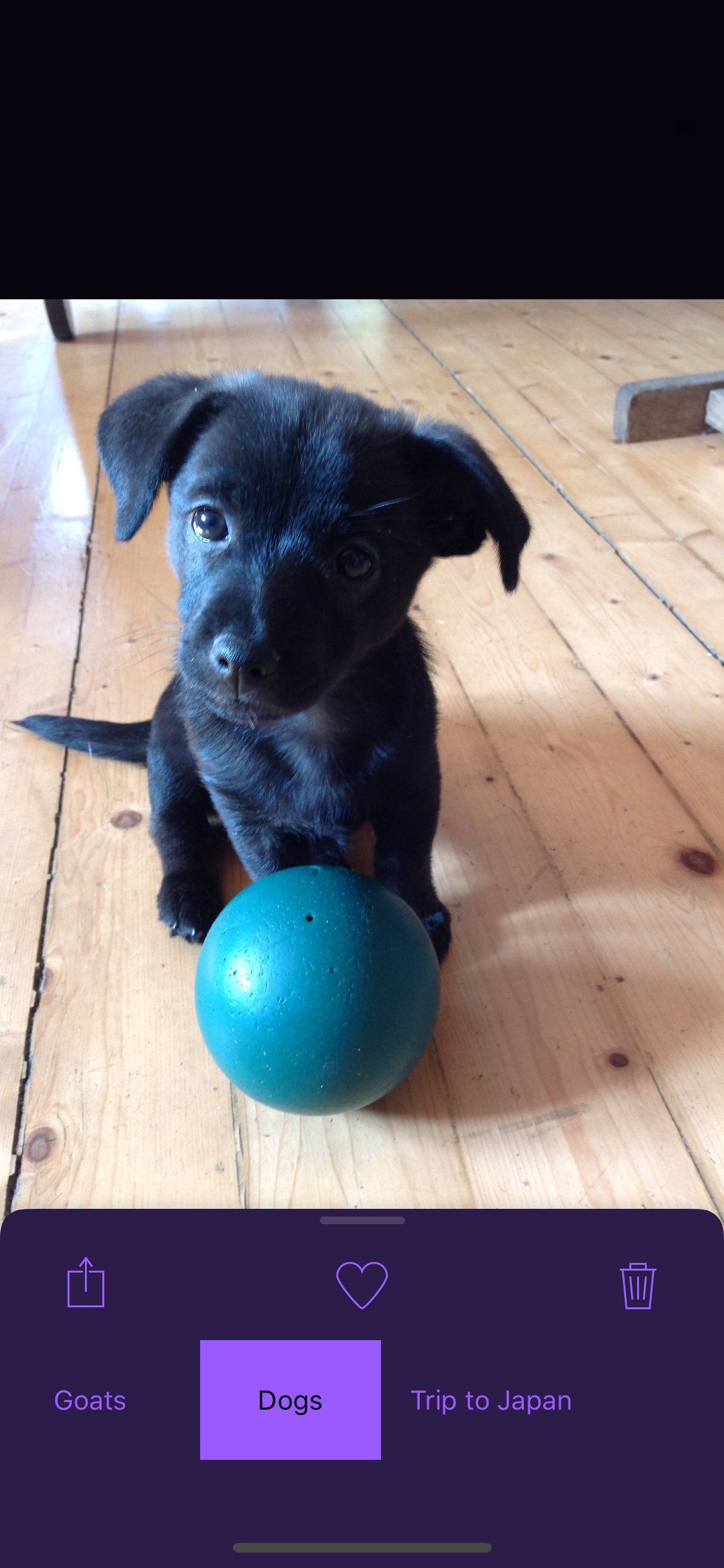 Picassort gallery image