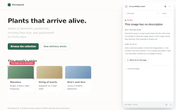 Live Accessibility Overlay gallery image