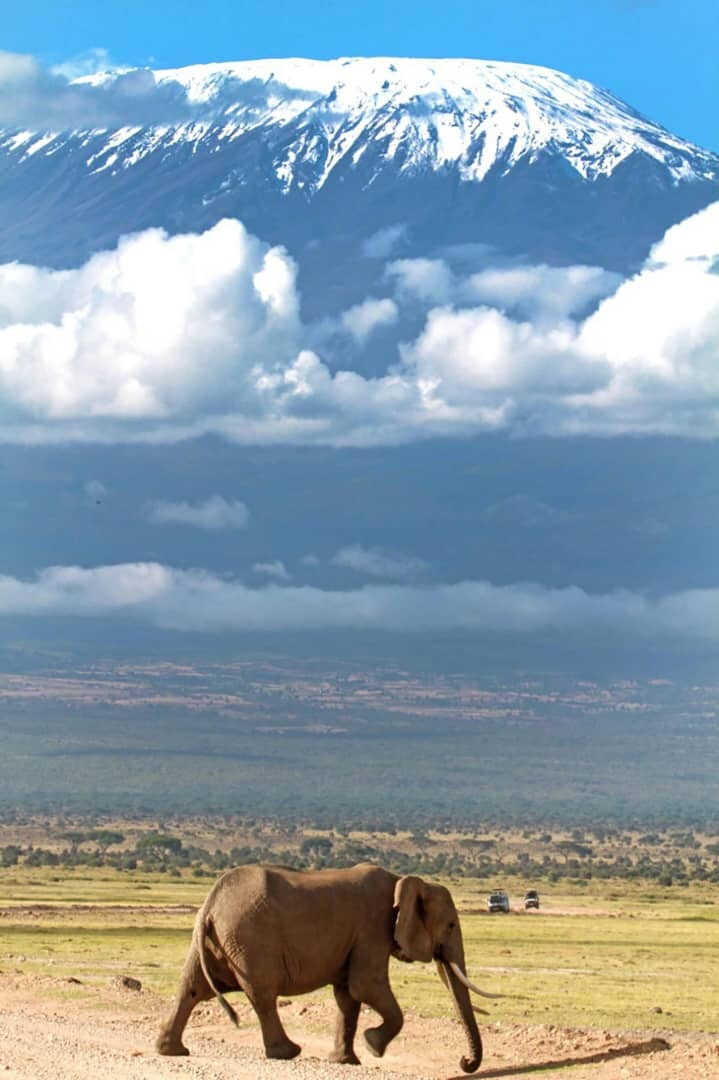 Africantrust Safari gallery image