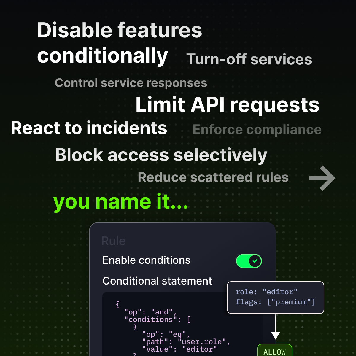 Govplane gallery image