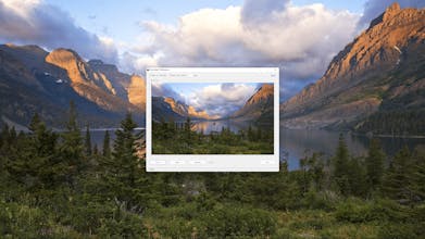 Spotlight Wallpaper gallery image