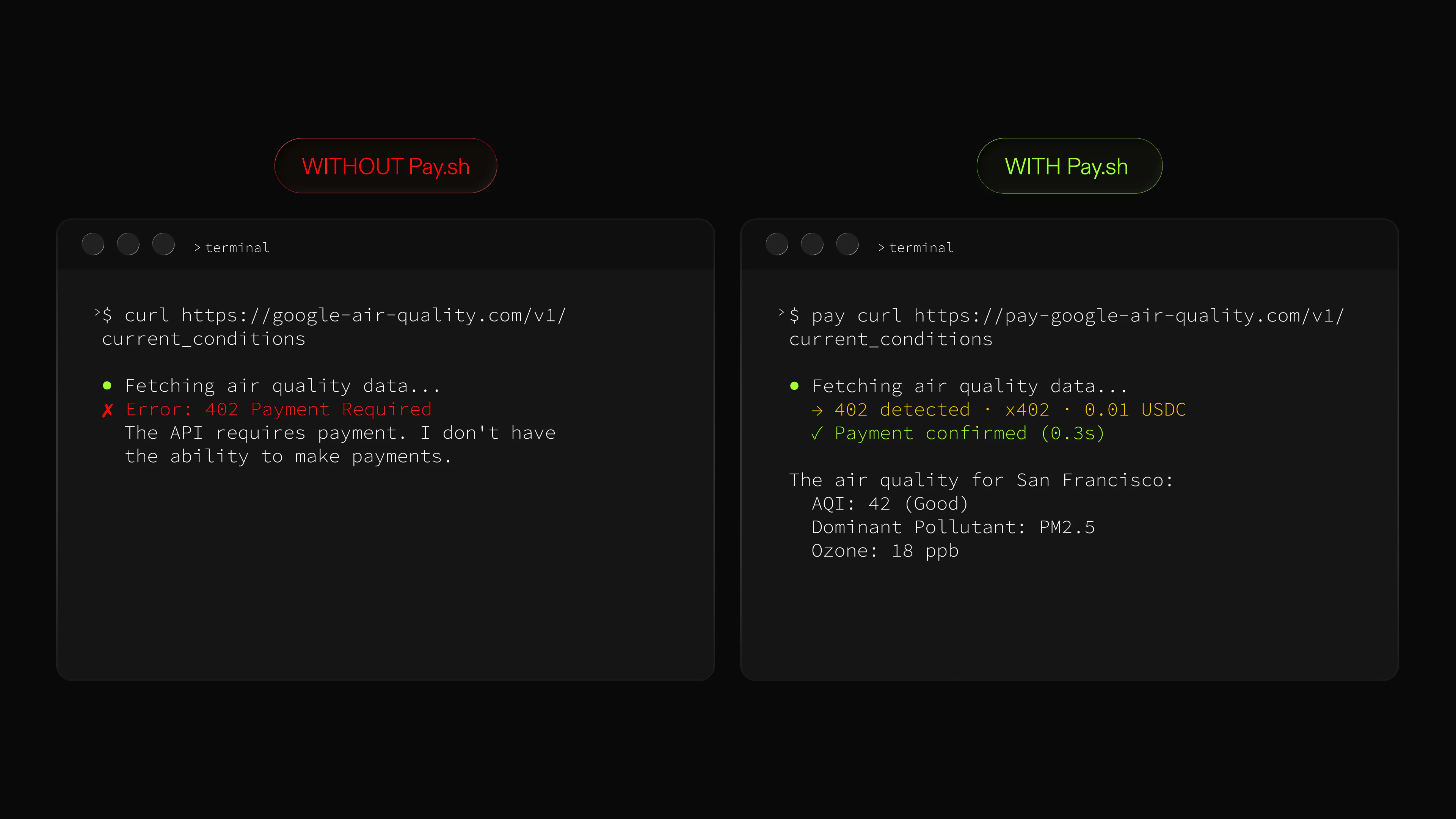 pay.sh screenshot 3