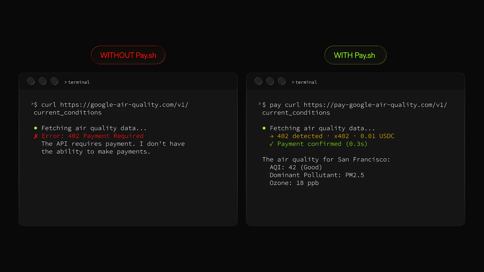 pay.sh screenshot 4