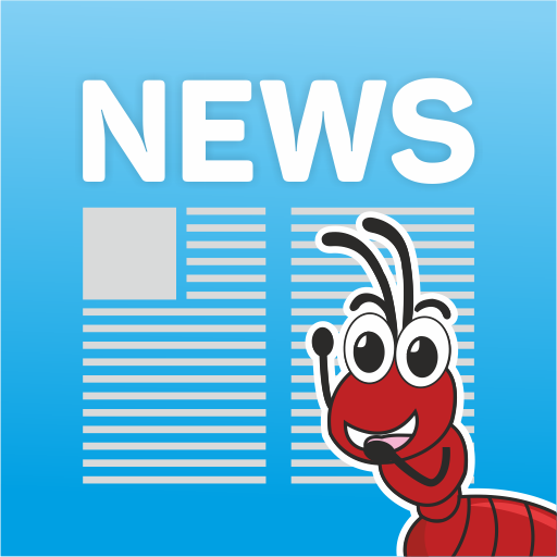 chinimandi news app