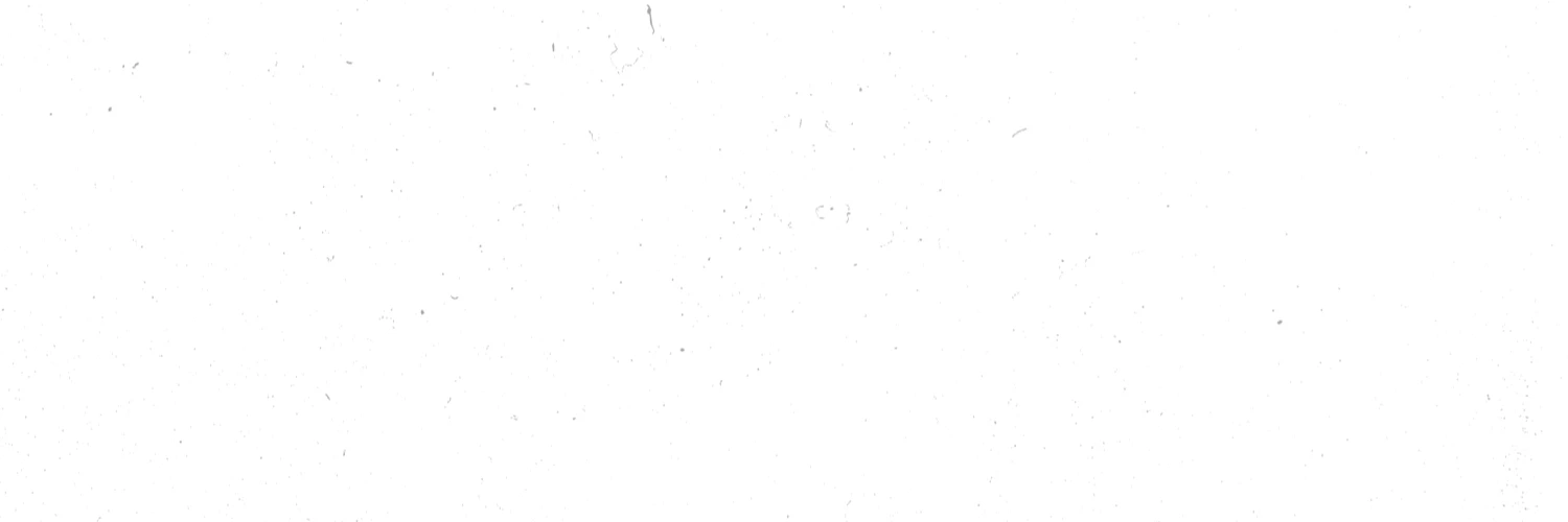 Anna Fitzgerald cover