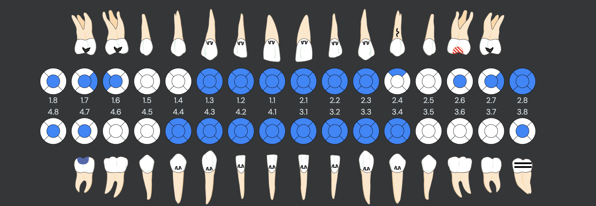 Smile Connect gallery image