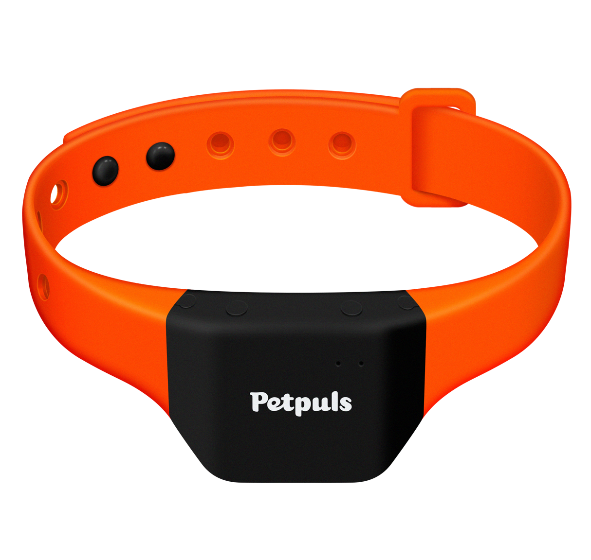 Petpuls: the AI-powered dog collar