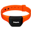 Petpuls: the AI-powered dog collar