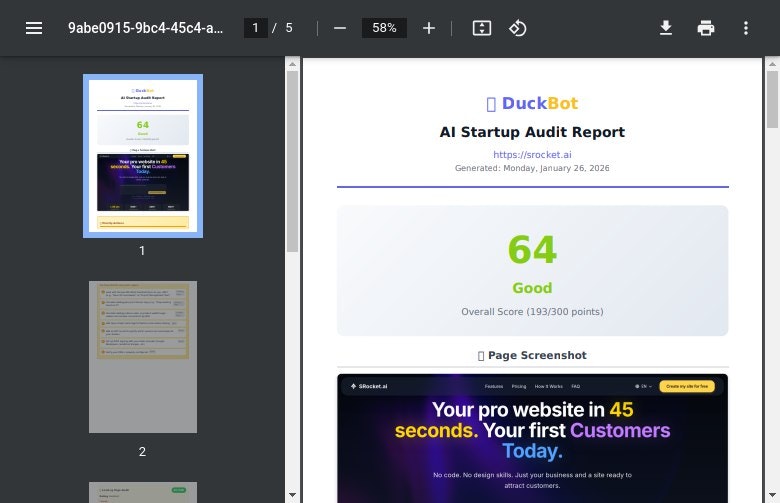 AI Startup Audit gallery image