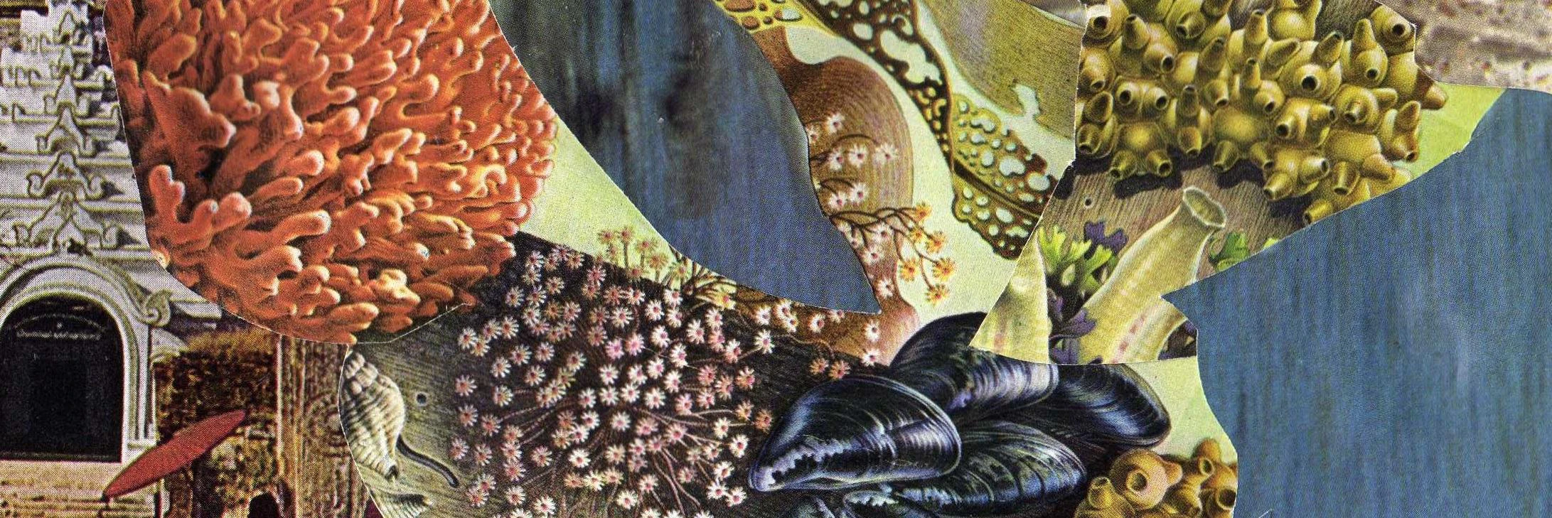 Amanda Durepos cover