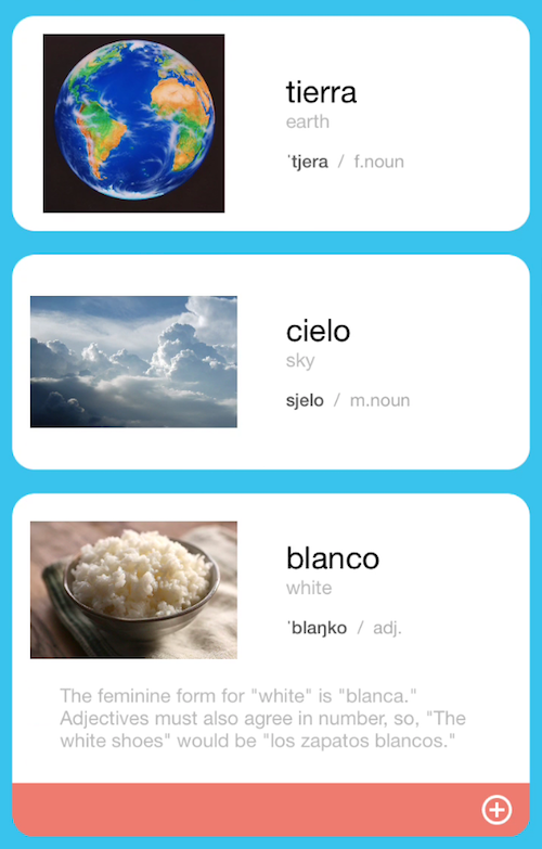 Fluent Forever Language Learning App gallery image