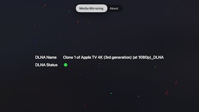 DLPlay gallery image