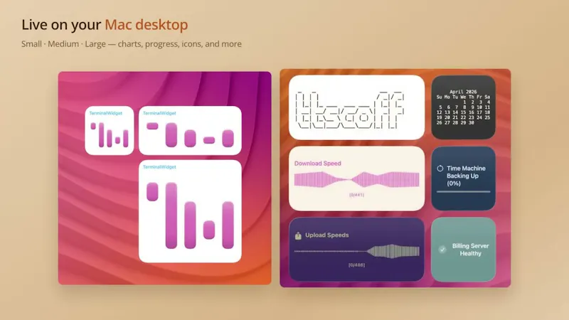 TerminalWidget screenshot 1 (video preview)
