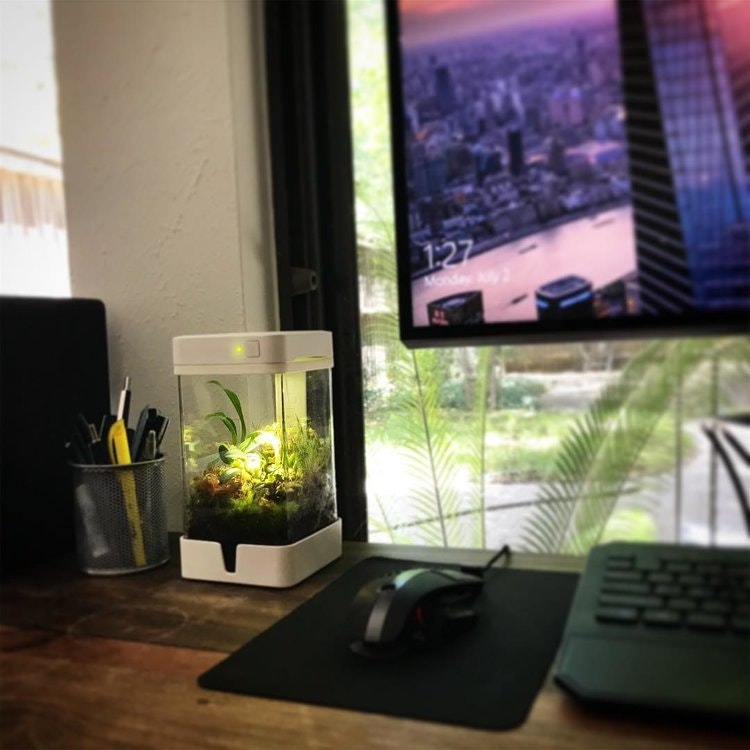 OrchidBox Smart Mini Terrarium 🌱 gallery image