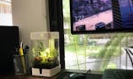 OrchidBox Smart Mini Terrarium 🌱 image