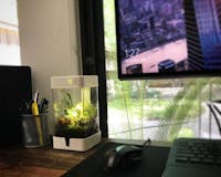 OrchidBox Smart Mini Terrarium 🌱 media 1
