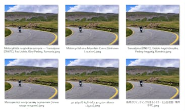 Photo AI Tagger – AI That Tags Photos gallery image