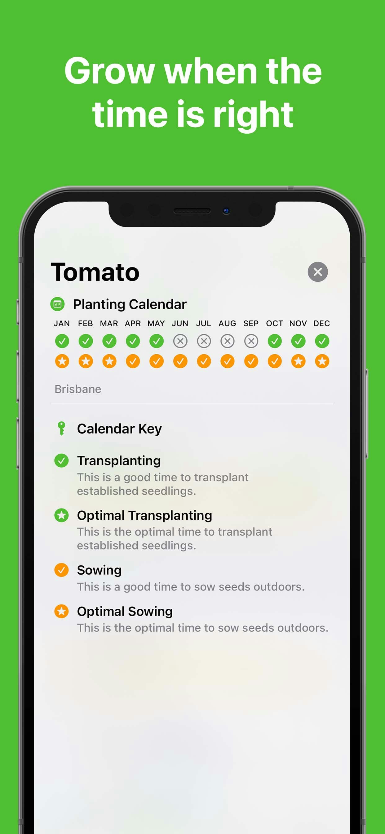 Flora - Better Gardening gallery image
