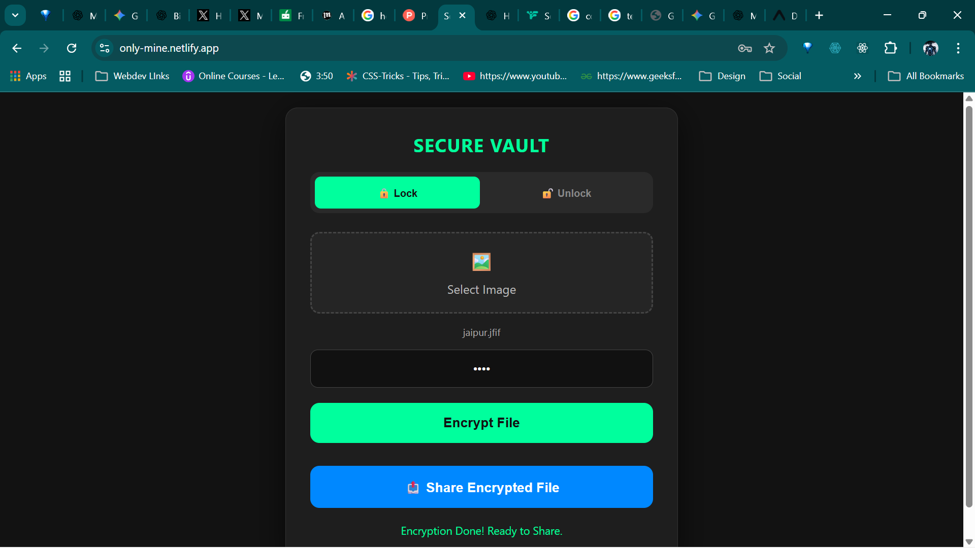 Secure Vault + Share - Main product screenshot demonstrating key features and user interface