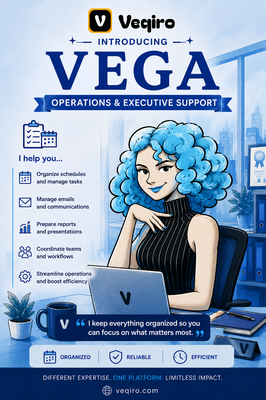 Veqiro gallery image