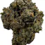 Crumpets Drop - 5 Minute Weed DC