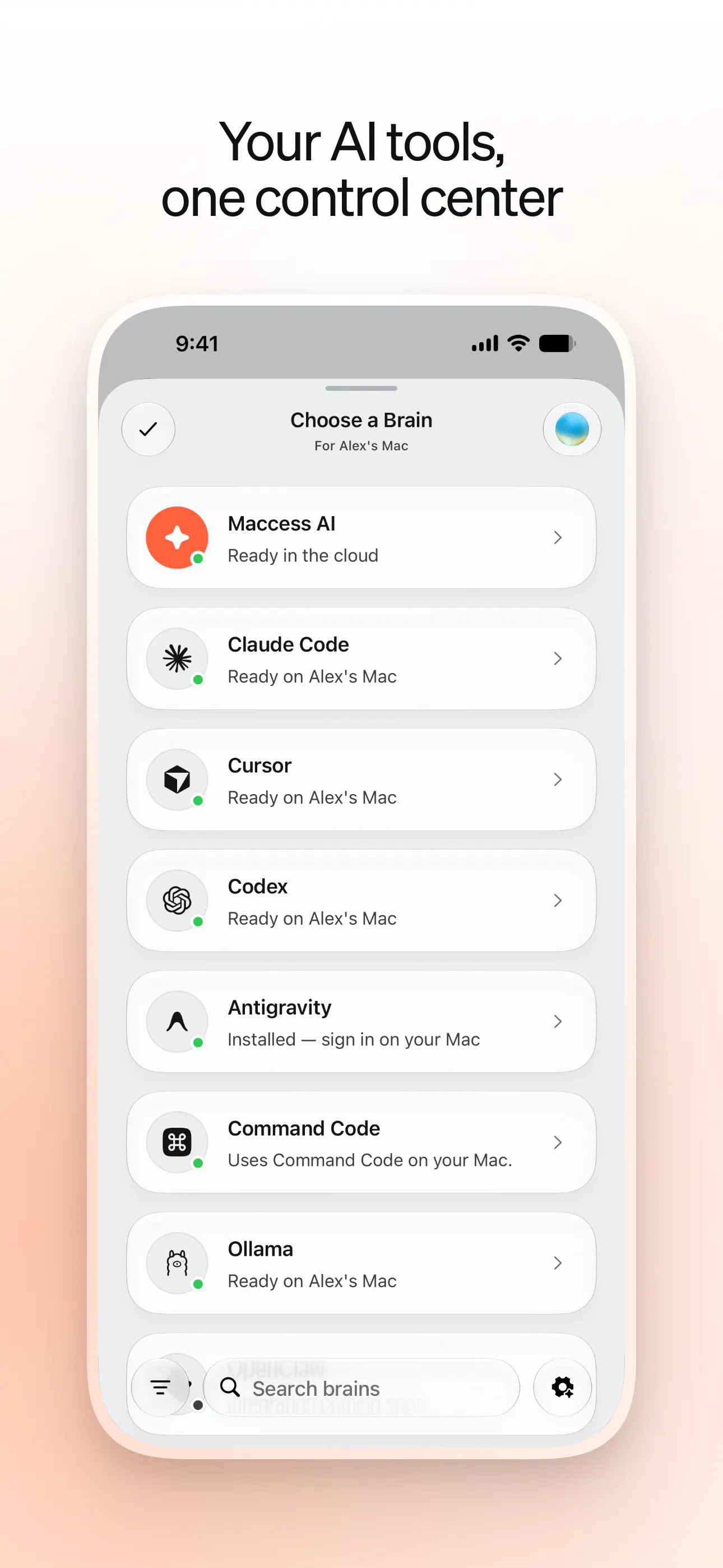 Maccess screenshot 5
