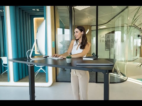 Maidesite  S1 Pro standing desk gallery image