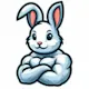 Smart Rabbit Fitness
