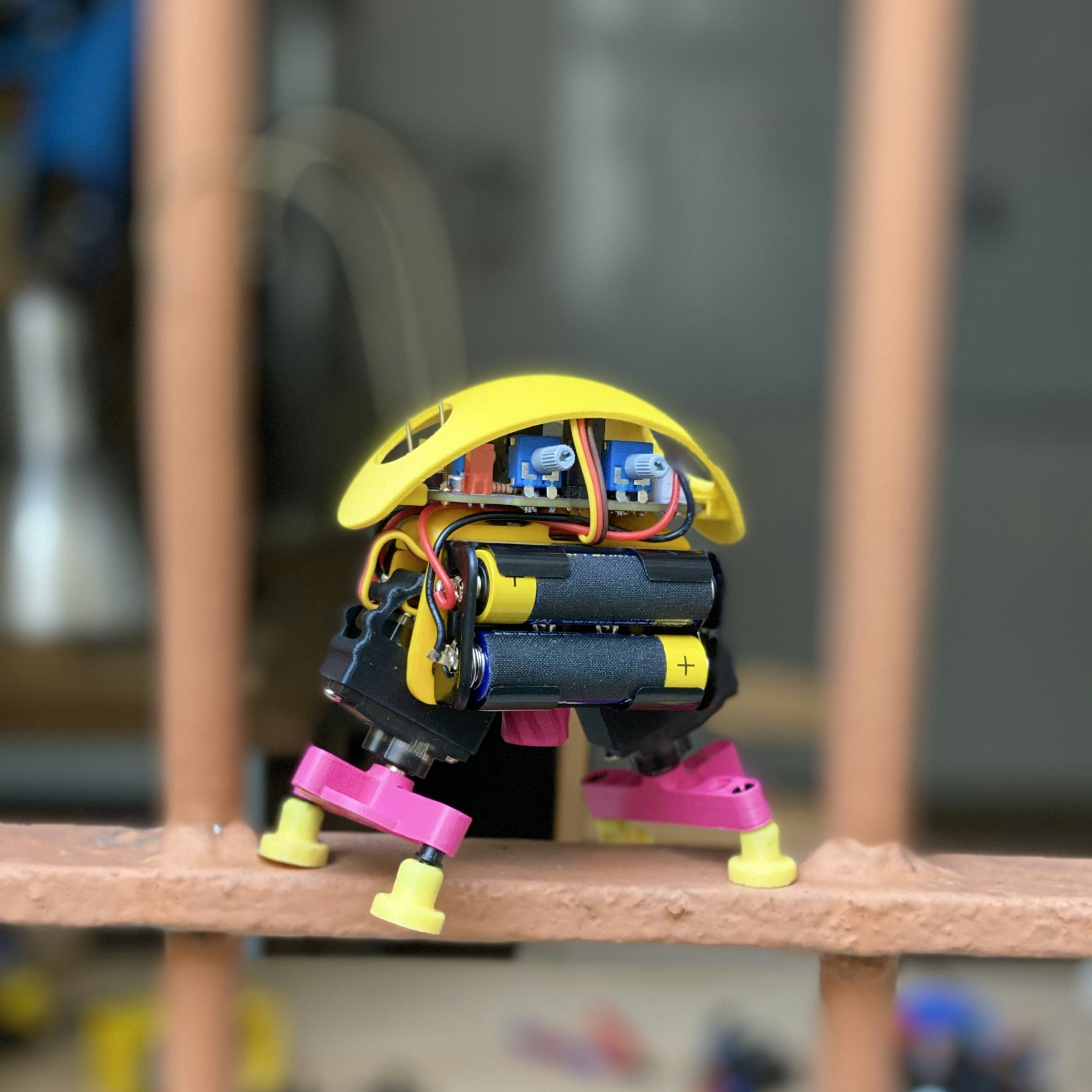 Bakiwi gallery image