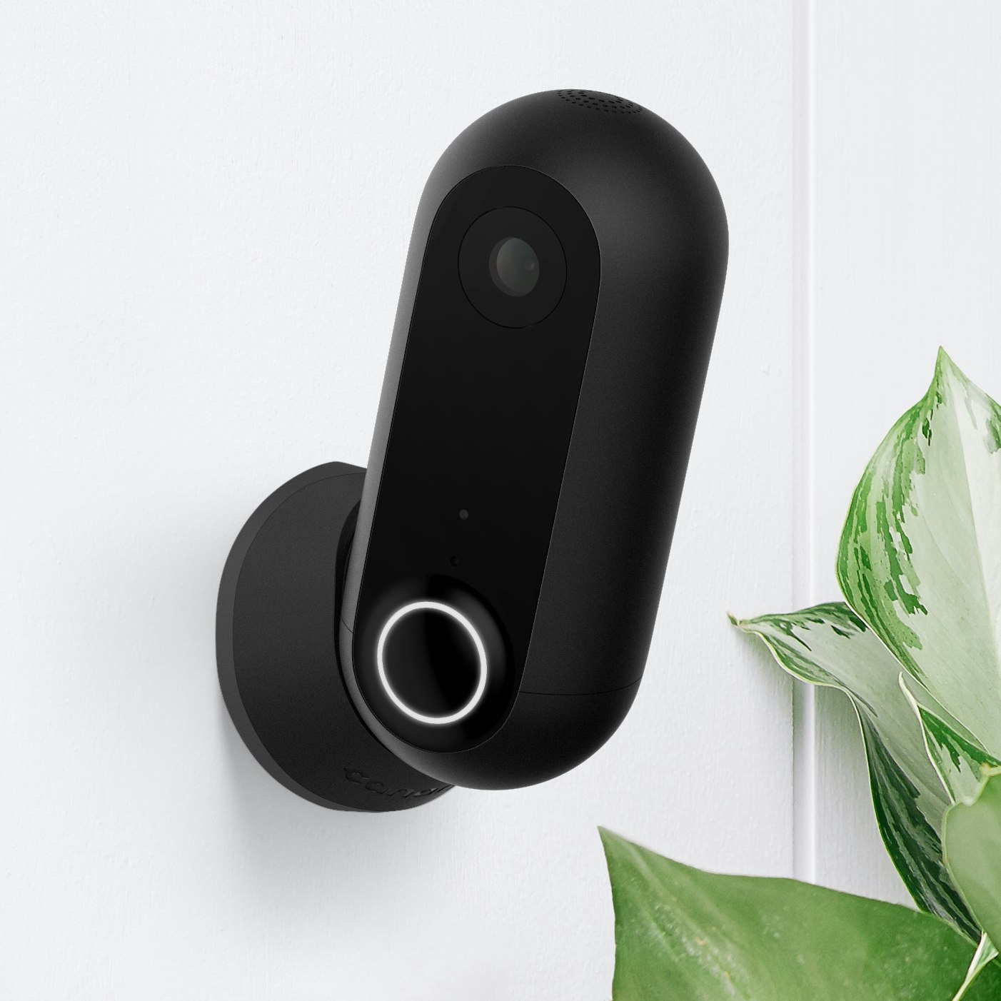 Canary gallery image