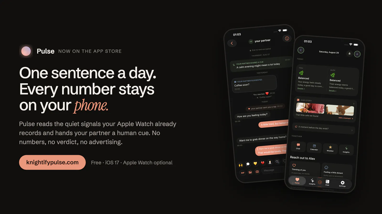 Pulse screenshot 1