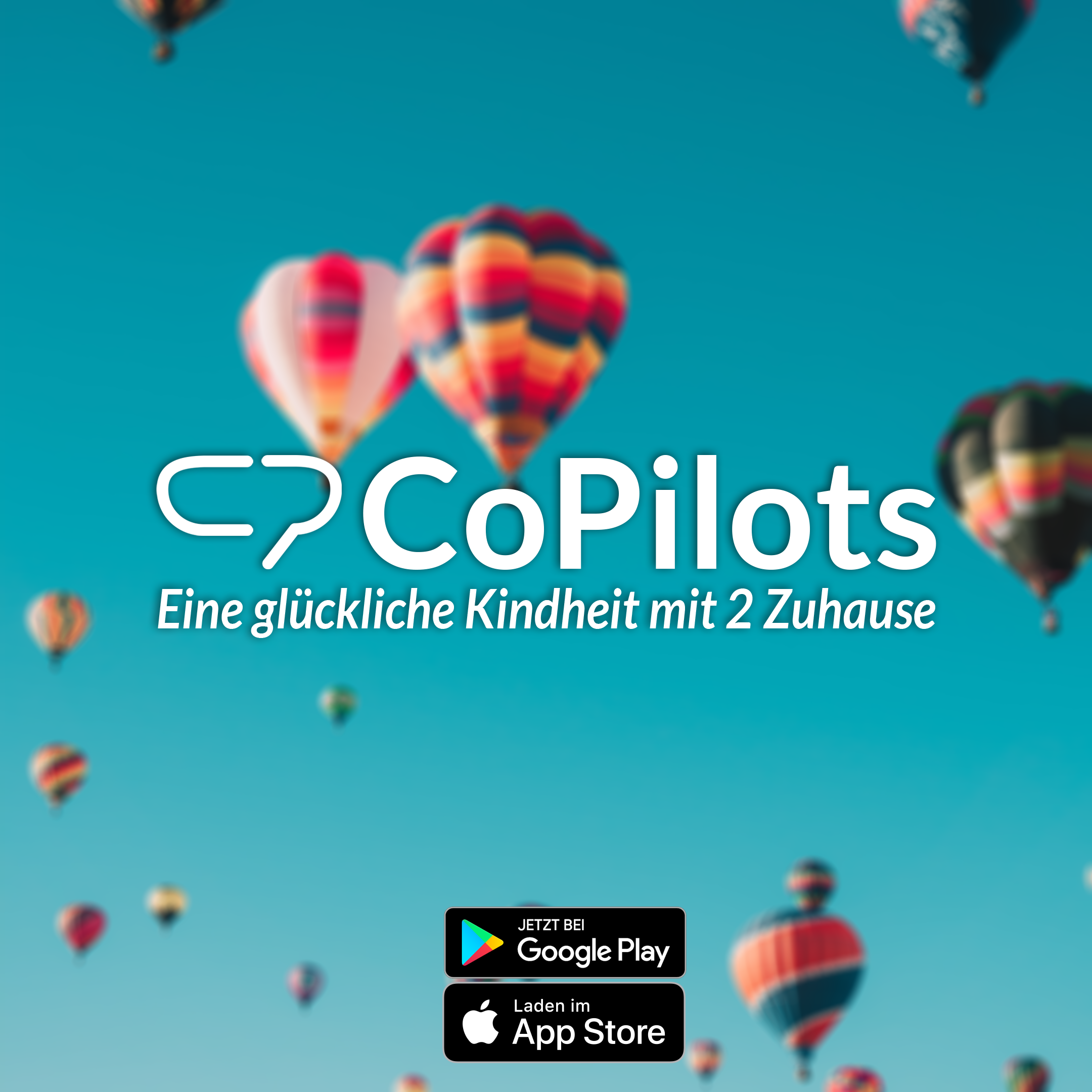 CoPilots gallery image