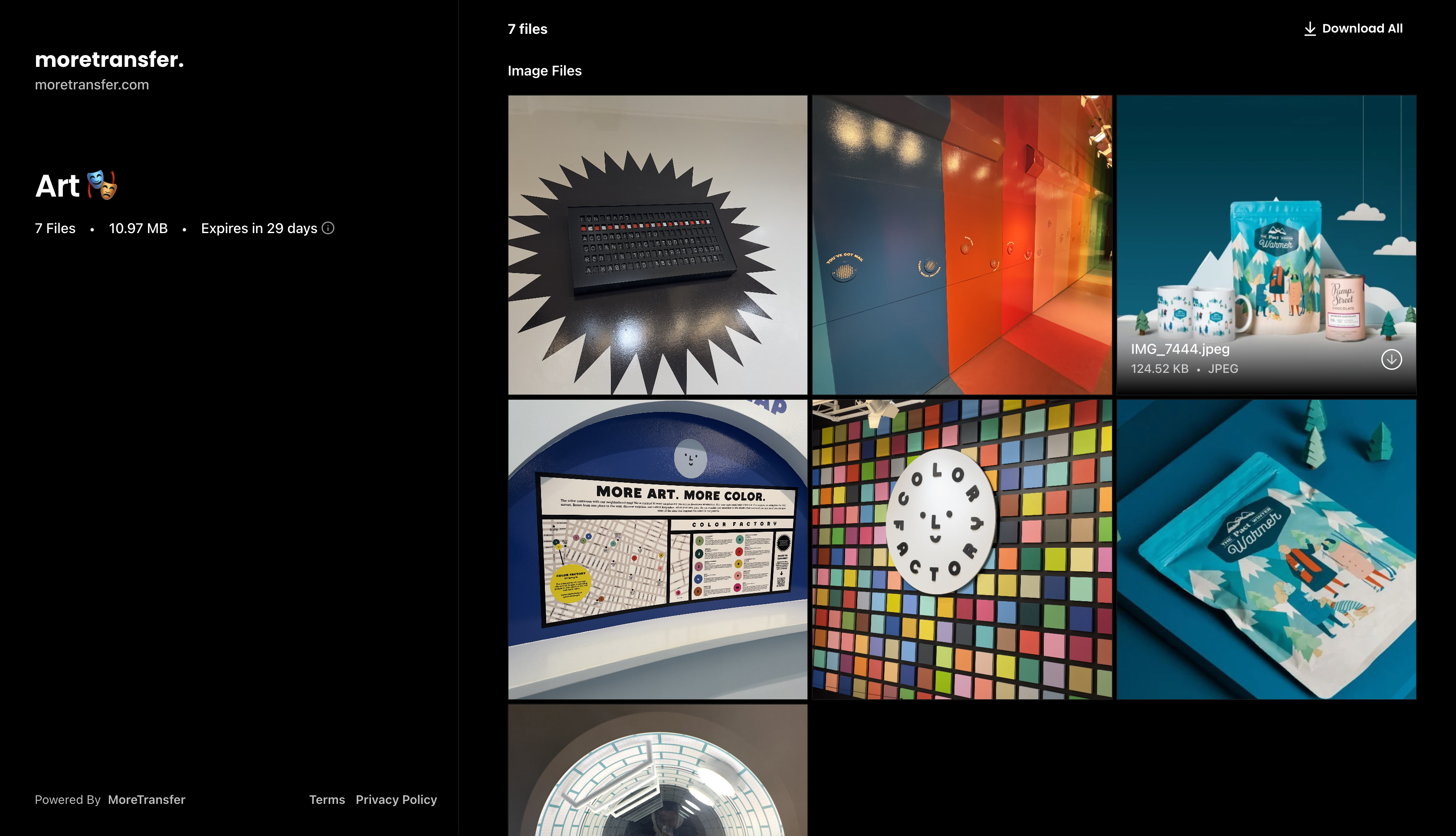 MoreTransfer gallery image