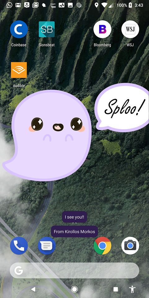 Splook gallery image