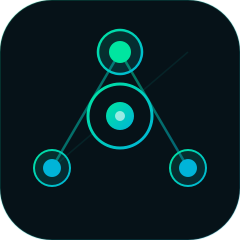 Customs Validator