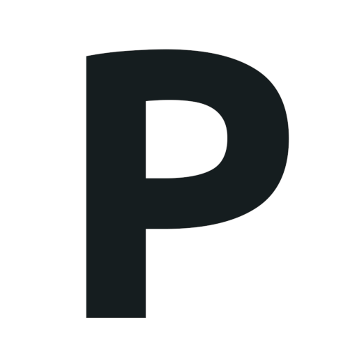 Pinggy logo