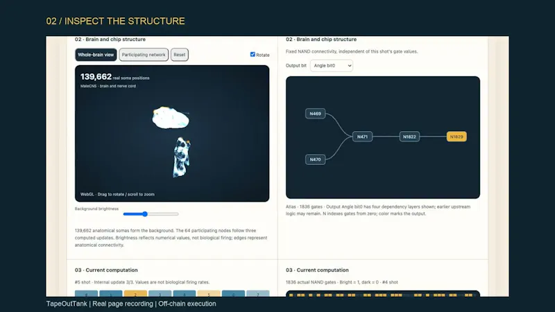 TapeOutTank screenshot 1 (video preview)