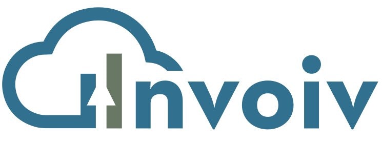 Invigo - Профессиональный генератор счетов медиа 2