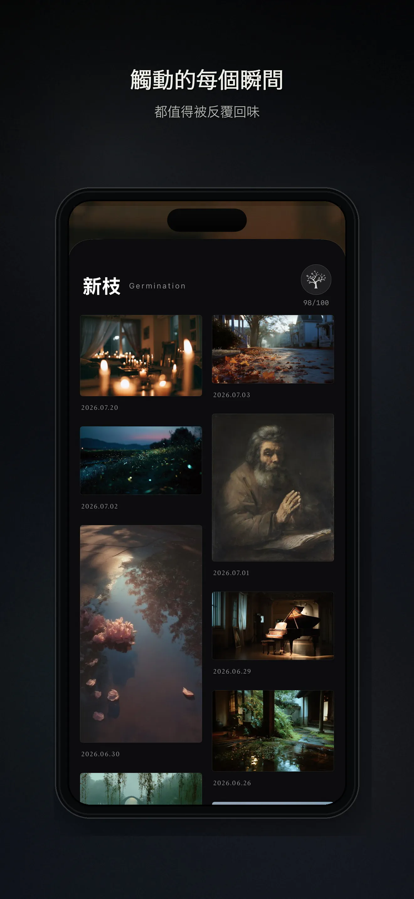 BanyanForest gallery image