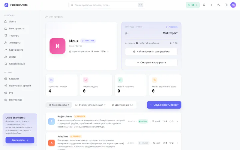 ProjectArena screenshot 7